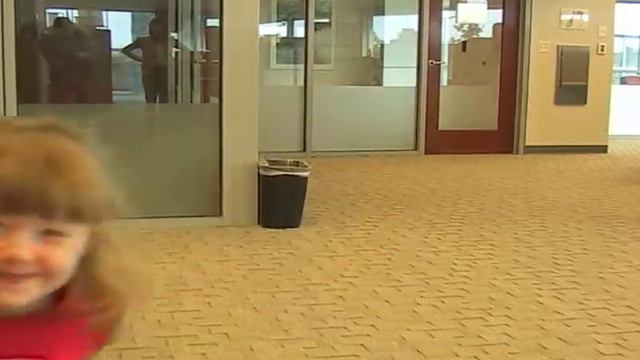 Joy, Pain, and Arachnophobia - A Trainer's Tale смотреть онлайн