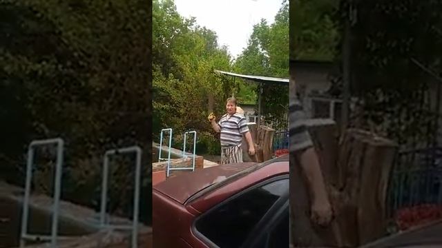 Как я пилил дерево на даче. смотреть онлайн