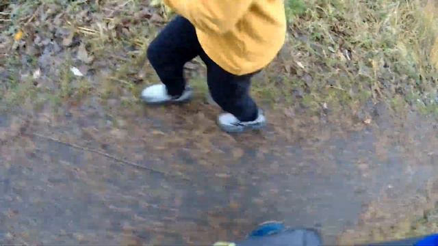 Пробежка 5 км в заказнике Северное побережье Невской губы смотреть онлайн