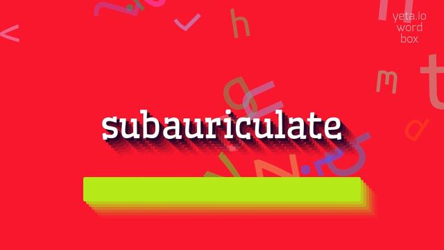 HOW TO PRONOUNCE SUBAURICULATE? #subauriculate смотреть онлайн