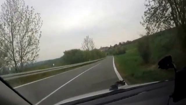 Дорога до Праги смотреть онлайн