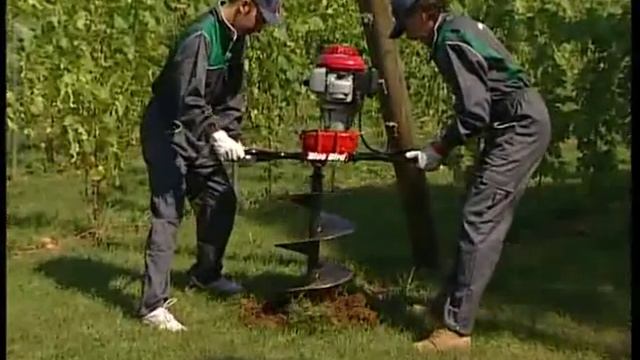 Mototrivelle Blue Bird