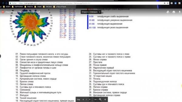 WebWellness Мастер класс Как читать диагностику 2018.03.21 Оксана Кириллова