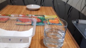 Проращивание семян перца в растворе суспензии хлореллы.