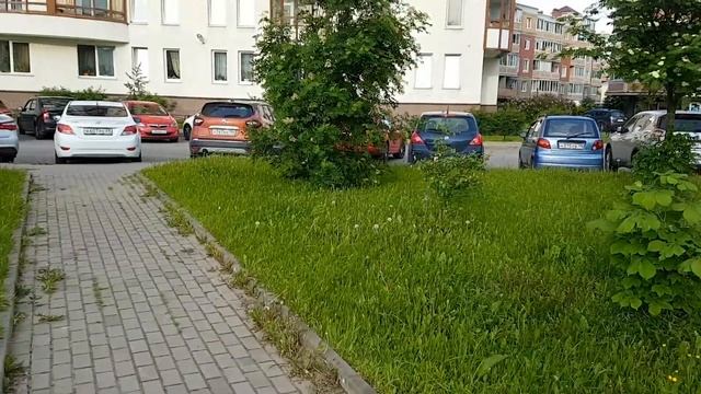 Мультируль с Октавии на skoda rapid. смотреть онлайн