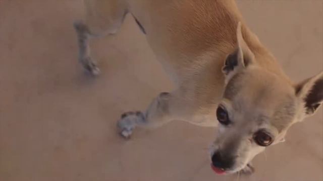 Simple Moments | Canon Eos 70D + Canon 50mm 1.8