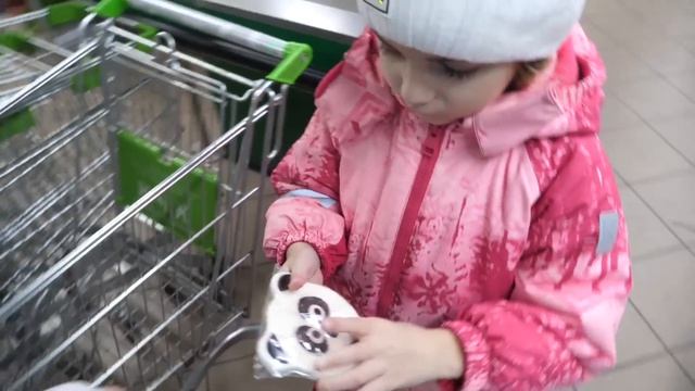 VLOG Зоомагазин. Сюрприз для Алисы смотреть онлайн
