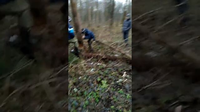 Валим деревья смотреть онлайн