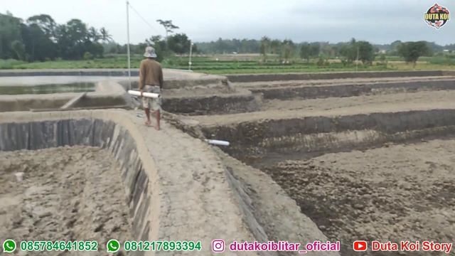 PEMASANGAN POMPA AIR MODIFIKASI DARI TULUNGAGUNG UNTUK KOLAM BUDIDAYA IKAN KOI || DUTA KOI BLITAR смотреть онлайн