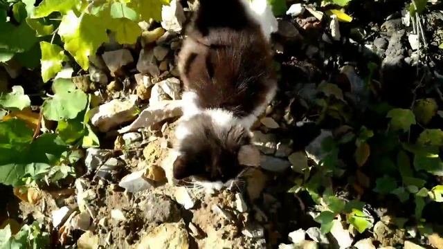 Найденыш на улице смотреть онлайн