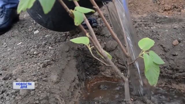 В УФСИН России по Оренбургской области прошла акция Зеленая Россия.mp4 смотреть онлайн