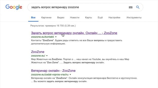 Сухопутные черепахи.