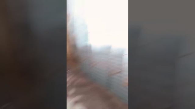 10 февраля 2024 г. смотреть онлайн