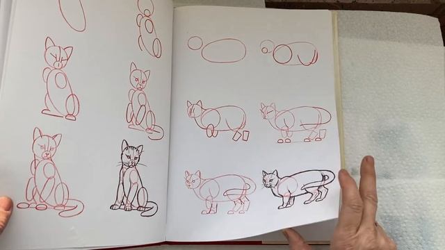 Doris Charest Art: The One Minute Art Book Review - Children's books- Animal Art by Lee J. James смотреть онлайн