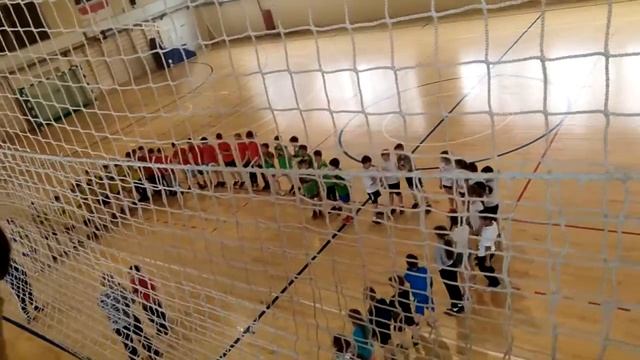 Я играю в гандбол