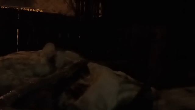 +40 в -30! Термы на даче или как сделать уличный бассейн в мороз смотреть онлайн