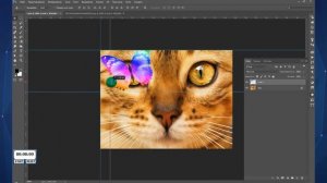 Как пользоваться линейками в Photoshop