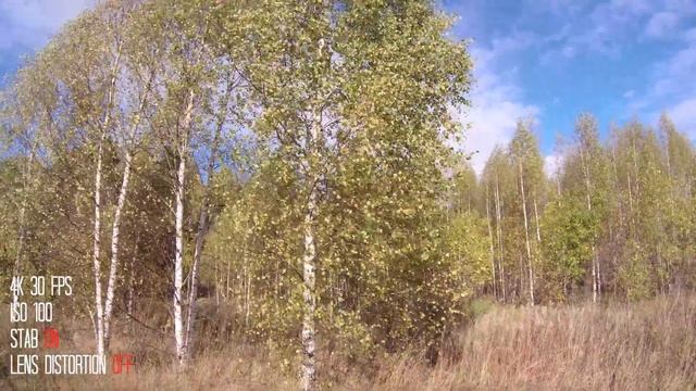 Sjcam Sj8 Pro 4k тест. Стабилизация, детализация.