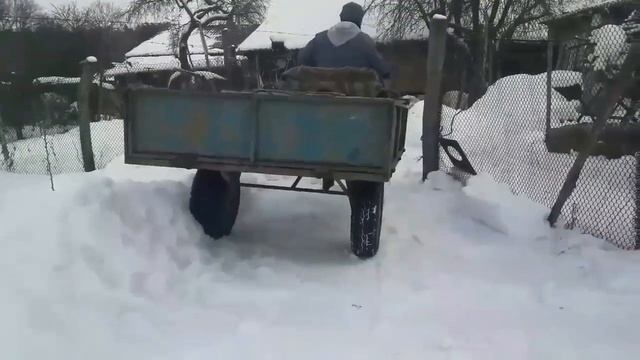 Вывоз навоза зимой, на мотоблоке Zirka (10 л. с.) смотреть онлайн