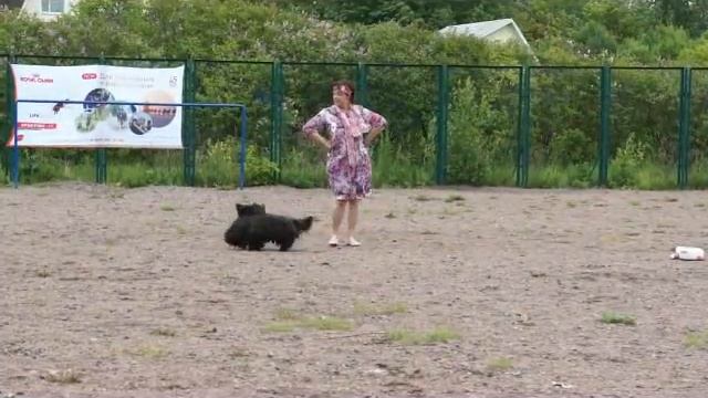 11 06 16 Красное село смотреть онлайн