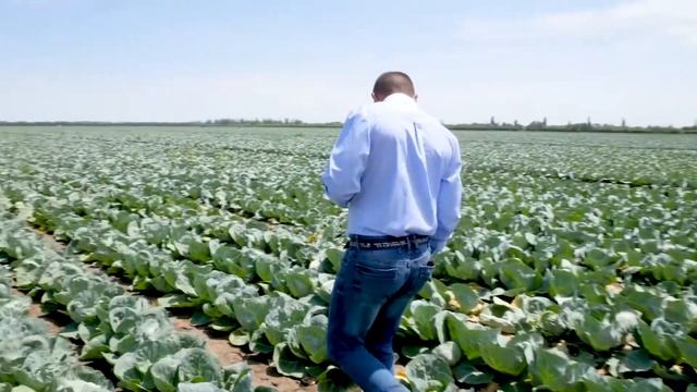 Мерзкие гаденыши или профессиональные санитары природы? Мухи - образ жизни. смотреть онлайн