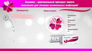 Эльжина Вертекс