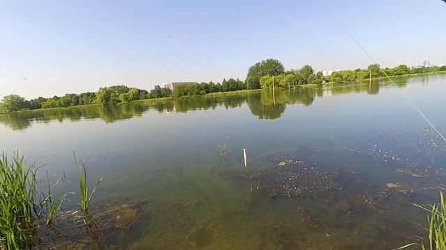 Что может универсальный спиннинг. Maximus Ultimatum.