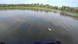 "Первый троллинг", рыбалка на реке "Дон".