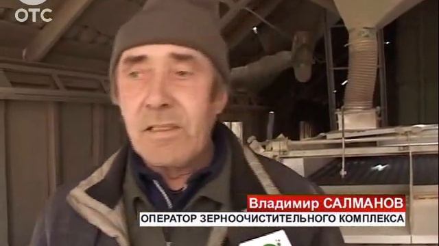 Аграрии Колыванского района провели спецобработку зернового фонда для будущей посевной смотреть онлайн