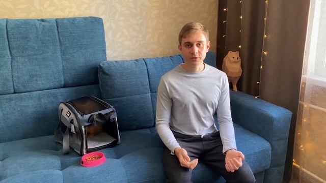 Как приучить собаку залазить в переноску - Лучший метод - теперь не могу достать смотреть онлайн