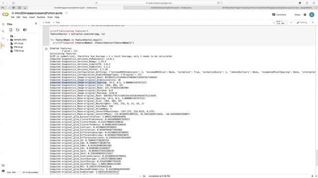 Introduction to 3D Image Processing and machine learning using python смотреть онлайн