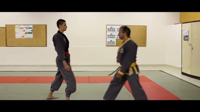 Sin Moo Hapkido - 3 techniques de base смотреть онлайн