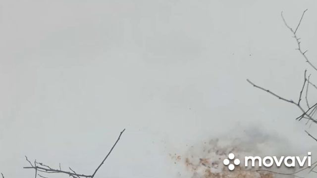 Проверка петель на фазана.04.01.2022. смотреть онлайн