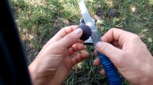 АБРИКОС  ЧОРНИЙ ОКСАМИТ  (ЧОРНЫЙ БАРХАТ) 30.07