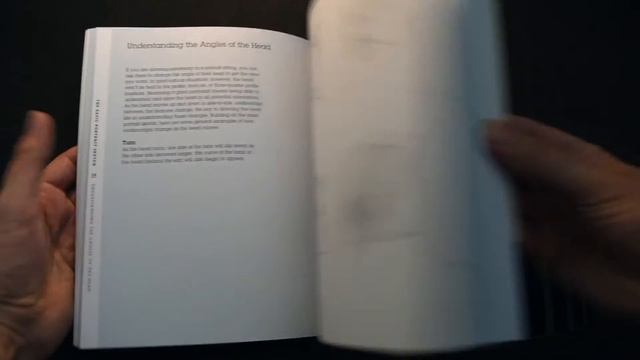 Draw Faces in 15 Minutes (Drawing Book Flip Through) смотреть онлайн