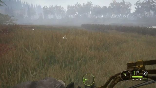 theHunter Call of the Wild Баг с луком как прокачать быстро лук смотреть онлайн