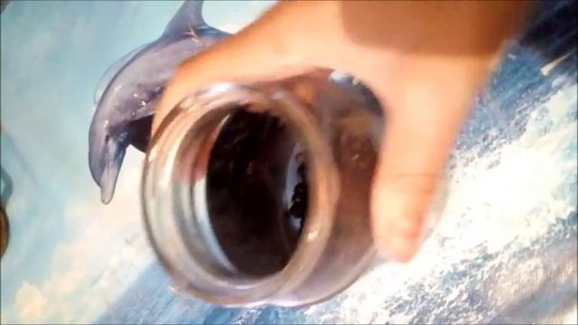 Астрономия и Космос