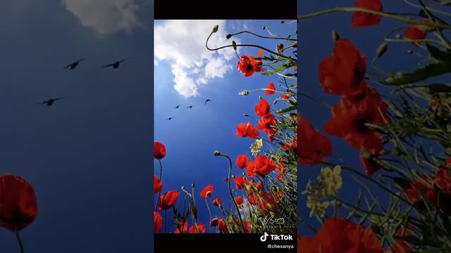 Куда мы так спешим.... смотреть онлайн