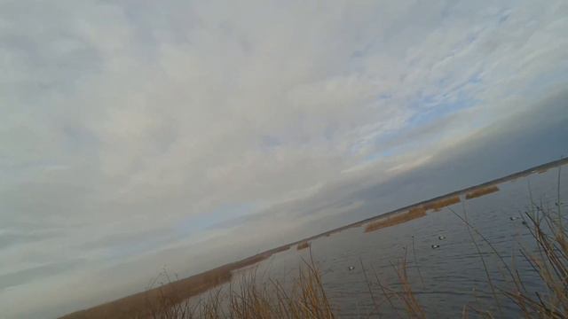 Охота на уток в конце октября. смотреть онлайн