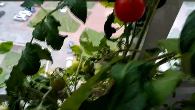Голенькие совсем стоят смотреть онлайн