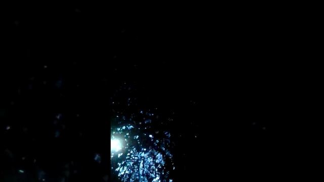 Хлорелла кормление клария(2) смотреть онлайн