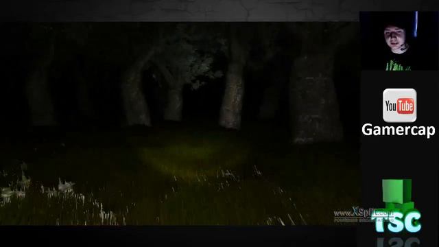 CRAZY WEREWOLF DEMON!!! - GamerCap and VigomStrom Plays Survivors смотреть онлайн
