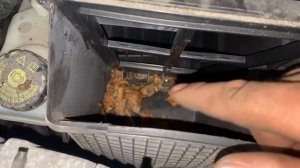 Как поменять воздушный фильтр на Рено Сценик 2 / Замена масла и фильтров на Renault Scenic 2