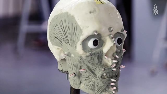 From Cold Cases to Positive IDs: A Forensic Art Class Helps Uncover Victims смотреть онлайн