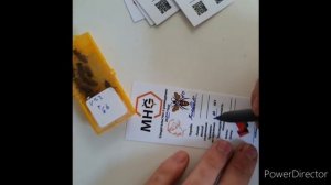 Занимаемся ИО пчелиных маток.