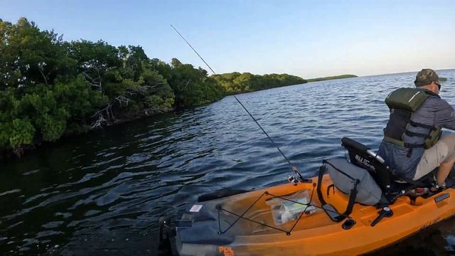 This is WHY YOU BUY Pedal Drive Kayak Old Town Sportsman PDL 120 and 106 Fishing Kayaks смотреть онлайн