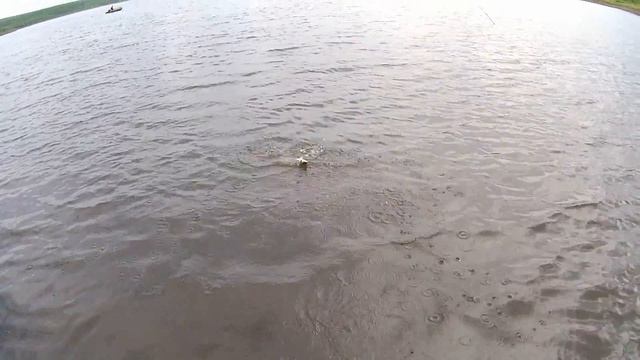 Рыбалка со спиннингом GAD HARRIER 2,13 тест 2-12 смотреть онлайн