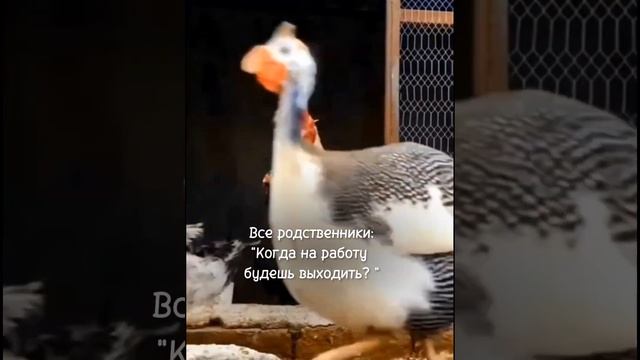 Тебя тоже отправляют на работу сразу, как ребёнок пошёл в сад? смотреть онлайн