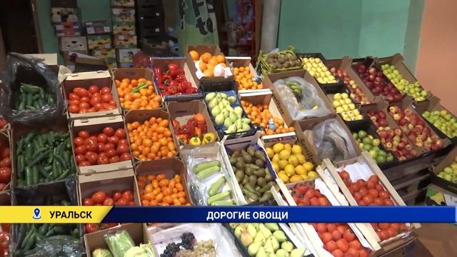 Магазины завышают цены на местные огурцы в Уральске смотреть онлайн