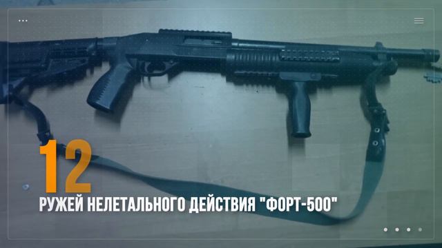 Более 100 схронов и тайников, где хранилось различное оружие, выявлено полицией смотреть онлайн
